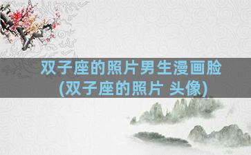 双子座的照片男生漫画脸(双子座的照片 头像)